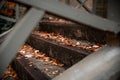A selective focus shot of stairs covered in brown leaves Royalty Free Stock Photo