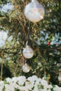 Selective focus shot of string lights above white flowers at outdoor wedding reception venue Royalty Free Stock Photo
