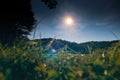 Selective focus shot of the sun at dawn over a forest Royalty Free Stock Photo