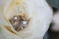 Selective focus shot of wedding and engagement rings in between the petals of a white rose flower Royalty Free Stock Photo