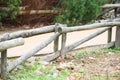 Selective focus shot of a wooden fence near a pathway at the park Royalty Free Stock Photo