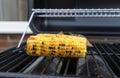 Selective focus of side view of grilling sweet corn and sweet potato on barbecues gas grill