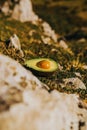 Selective focus of a sliced avocado on the rocks