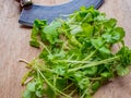 Top down view of coriander leaves and chopper on a wooden board Royalty Free Stock Photo