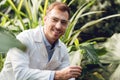 Selective focus of smiling handsome scientist in white coat and goggles taking plant sample in flask in orangery. Royalty Free Stock Photo