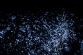 Selective focus splashing water droplets with trees in black background.soft focus.shallow focus effect Royalty Free Stock Photo