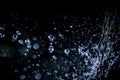 Selective focus splashing water droplets with trees in black background.soft focus.shallow focus effect Royalty Free Stock Photo