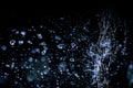 Selective focus splashing water droplets with trees in black background.soft focus.shallow focus effect Royalty Free Stock Photo