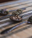 Selective focus on a spoon with cumin between other spoons with aromatic herbs on a tapestry