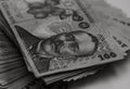 Selective focus on stack of LEI romanian money. Lei banknotes isolated Royalty Free Stock Photo