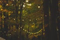 Selective focus of string lights hanging from trees in a garden, creating a festive atmosphere Royalty Free Stock Photo