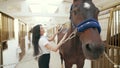 Woman grooming horse with brush.