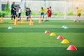 Selective focus to red and yellow marker cones are soccer training equipment on green artificial turf with blurry kid players trai Royalty Free Stock Photo