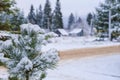 Selective focus to snowy pine branch with white snow flakes. Winter rural landscape with road in snow drifts, snow covered trees Royalty Free Stock Photo