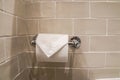 toilet paper roll hanging on the luxury wall for sanitary Royalty Free Stock Photo