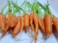 Selective focus, Top view of fresh carrots isolated on white background Royalty Free Stock Photo