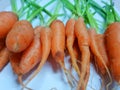 Selective focus, Top view of fresh carrots isolated on white background Royalty Free Stock Photo