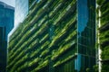 Selective focus on tree and eco friendly building with vertical garden in modern city. Royalty Free Stock Photo