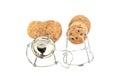 Selective focus of two champagne corks and a muselet separately on a white background Royalty Free Stock Photo