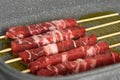 Selective focus. Uncooked raw meat skewers is a pan, side view Royalty Free Stock Photo