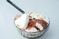 vanilla and chocolate ice cream scoops in a glass bowl with a teaspoon isolated and ready to be served Royalty Free Stock Photo