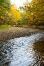 Selective focus vertical view of the Cap-Rouge river flowing in woods with colourful Fall foliage