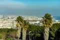 A selective focus view of Barcelona under a cloud of pollution and with some palm trees in the front