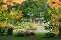 Selective focus view of beautiful old dark wood cottage nestled in lush garden, with colourful Fall foliage Royalty Free Stock Photo