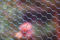 Selective focus. View of the fence mesh, background Royalty Free Stock Photo