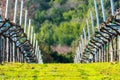 A view of rows of bare recently pruned vines in a winter vineyard. Green grass between rows Royalty Free Stock Photo