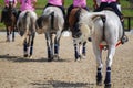 selective focus, view of the rump of several horses during a horseball game Royalty Free Stock Photo