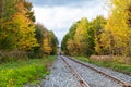 Selective focus view of unrecognizable people walking on train track surrounded trees with colourful foliage Royalty Free Stock Photo