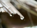 Macro photography of water drops falling from roof hut Royalty Free Stock Photo