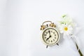 Selective focus vintage alarm clock  with beautiful bouquet flowers  on white background. Love anniversary, dating and present Royalty Free Stock Photo