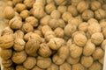 Selective focus. Walnuts behind glass in a container. A lot of ripe walnuts
