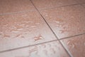 Water drops on the tile floor Royalty Free Stock Photo