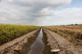 Waterways to the paddy fields. Royalty Free Stock Photo