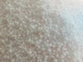 Selective Focus of White Fertilizer Urea Seen in Close Up Royalty Free Stock Photo