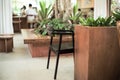 Selective focus on a wooden chair behind the wooden counter with blurred indoor plantation and people in background Royalty Free Stock Photo