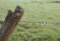 Wooden Fence Post and barbed wire with dew and spider web. Royalty Free Stock Photo