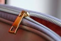 Selective focus, yellow metal zipper of a makeup bag or small purse macro pattern background Royalty Free Stock Photo