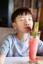 Young boy drink watermelon juice Royalty Free Stock Photo