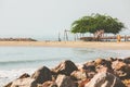 Selective Focused on green tree and sand beach of the island a or ocean.