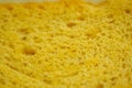 Close up bread background texture. Macro photo Cheese Royalty Free Stock Photo