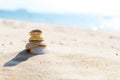 Selective focused shells on the beach. Summer background image. Royalty Free Stock Photo