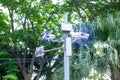 Selective focust to CCTV Camera and WIFI Device on metal pole with blurry tree background in public park