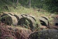 Selective of old stone millstones covered in lichen Royalty Free Stock Photo