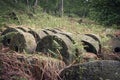 Selective of old stone millstones covered in lichen
