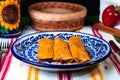 Selective shot of Mexican delicious food on the white-blue plate on the kitchen Royalty Free Stock Photo