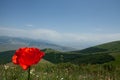 Selective shot of red tulip in the filled with beautiful background of green mountains and blue sky Royalty Free Stock Photo